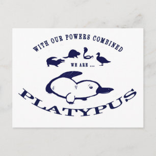 We are Platypus Postcard
