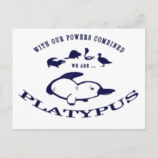We are Platypus Postcard