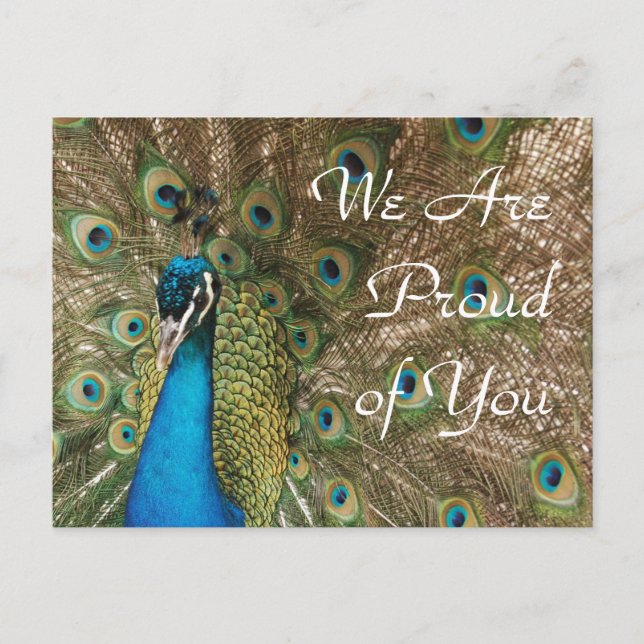 "We Are Proud of You" Peacock Photo Postcard (Front)