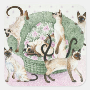 We are Siamese if you please Square Sticker