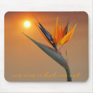we are what we eat mouse pad