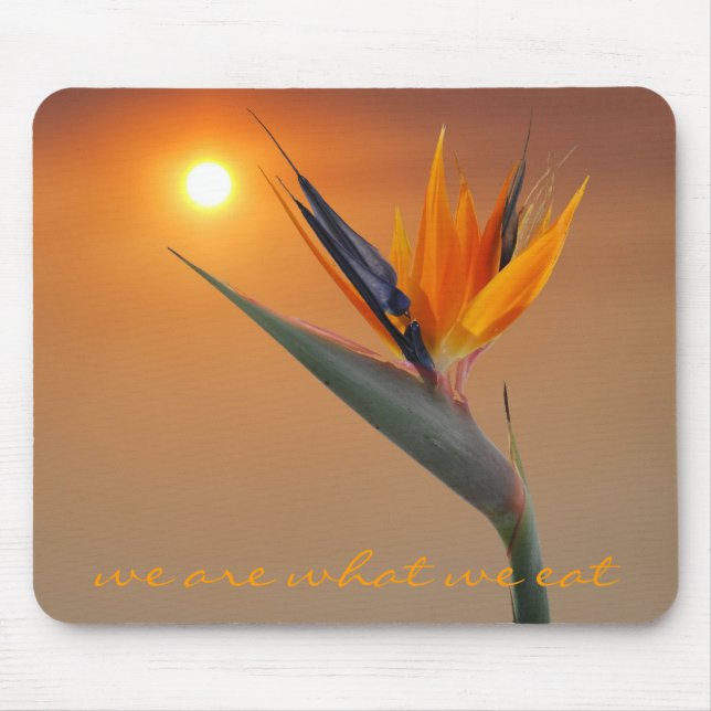 we are what we eat mouse pad (Front)