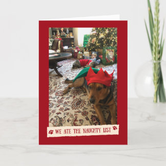 We Ate The Naughty List - Funny card from the dogs