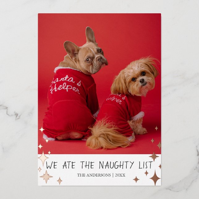 We Ate the Naughty List Pet Foil Holiday Card (Front)