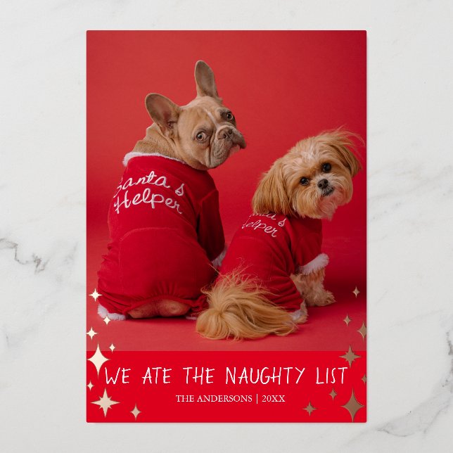 We Ate the Naughty List Pet Foil Holiday Card (Front)