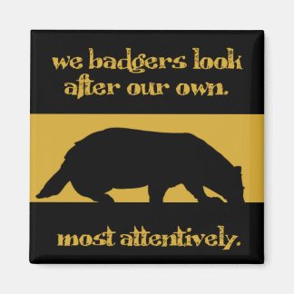 we badgers magnet