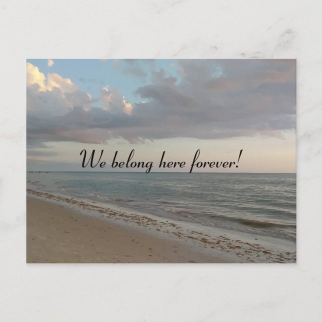 We belong here forever Cute Beach Picture Postcard (Front)