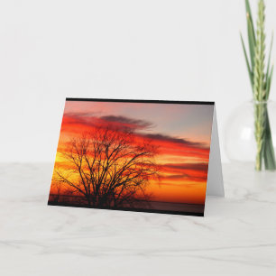 We Belong To The Same Family Tree Birthday Humour Card