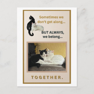 We Belong Together Postcard