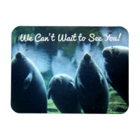 We Can't Wait to See You! Manatees