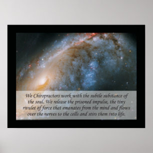 We Chiropractor Quote Poster