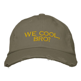 WE COOL, BRO? - STREET GAMER HAP EMBROIDERED HAT