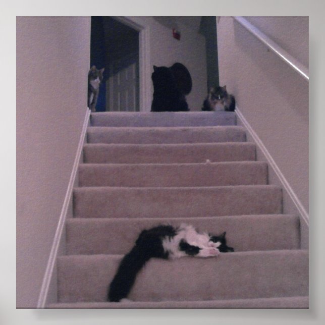 We didn't push him! poster (Front)