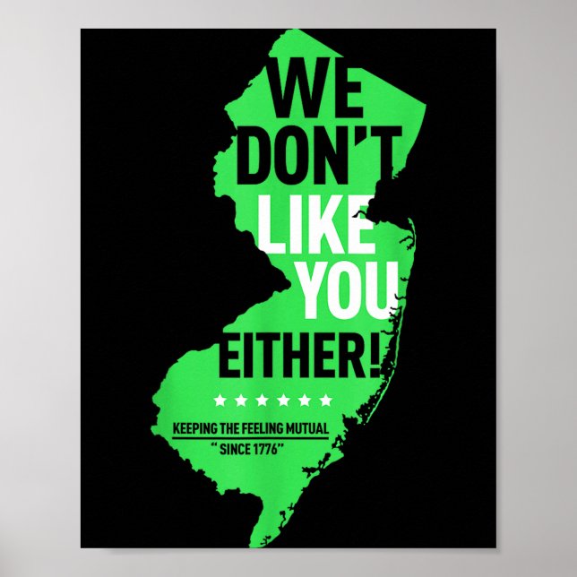 We Don't Like You Either New Jersey New York Rival Poster (Front)