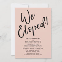 We Eloped! Casual Blush Post Wedding Celebration