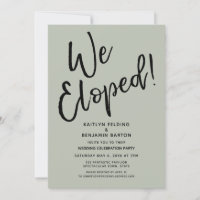 We Eloped! Casual Sage Post Wedding Celebration