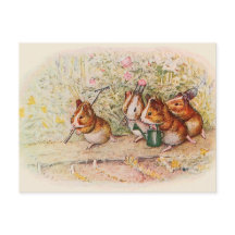 We Have a Little Garden Guinea Pigs Song