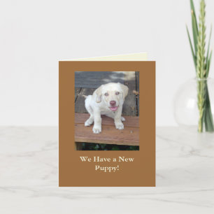 We Have a New Puppy Dog Announcement Customisable