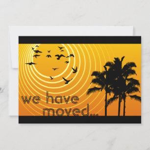 we have moved announcement : sunscene