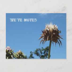 WE HAVE MOVED/ANY OCCASION POSTCARD