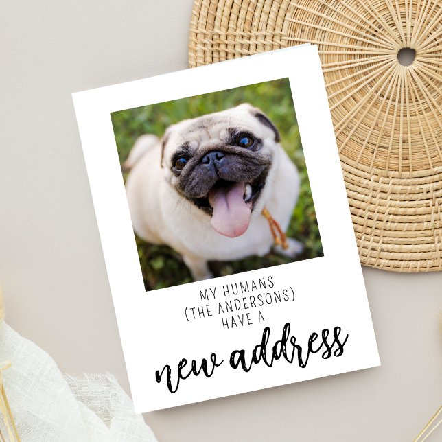 We have Moved New Address Dog Pet Photo Card (Creator Uploaded)