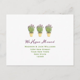 We have moved   New Address   New Home Postcard