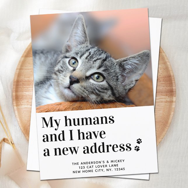 We Have Moved New Address Pet Photo Cat Moving Announcement (Creator Uploaded)