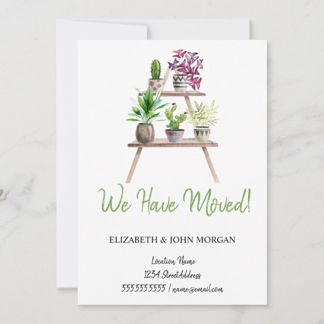 We Have Moved,Plants,Arrangement (Front)