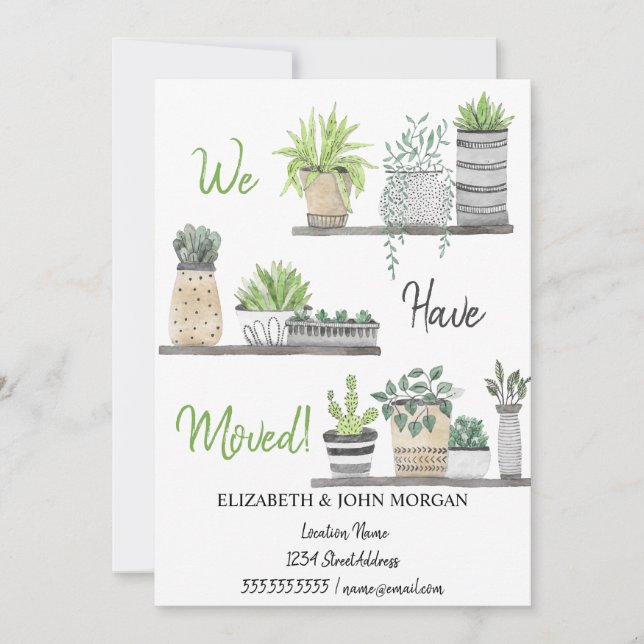 We Have Moved,Plants,Shelves (Front)