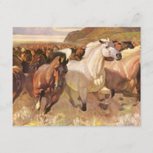 We have Moving Moved Horses Mustangs on the Move Announcement