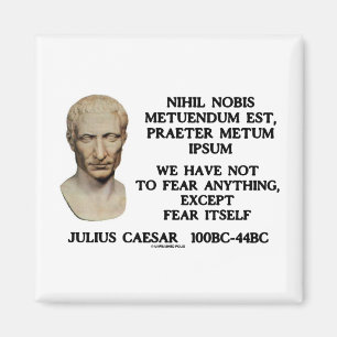 We Have Not To Fear Anything, Except Fear Itself Magnet