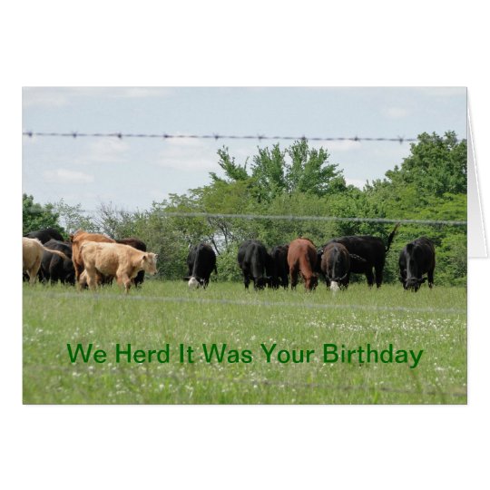 We Herd It Was Your Birthday Card