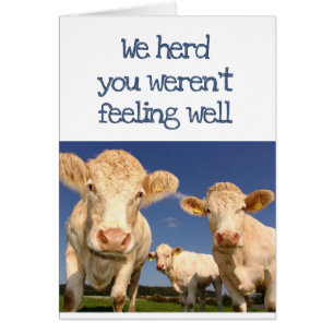 We Herd You Weren't Feeling Well Fun Cow Humor