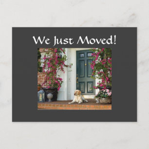 WE JUST MOVED-HOUSEWARMING INVITE