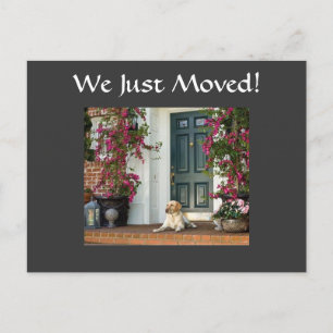 WE JUST MOVED-HOUSEWARMING INVITE