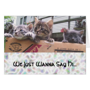 We Just Wanna Say Hi...