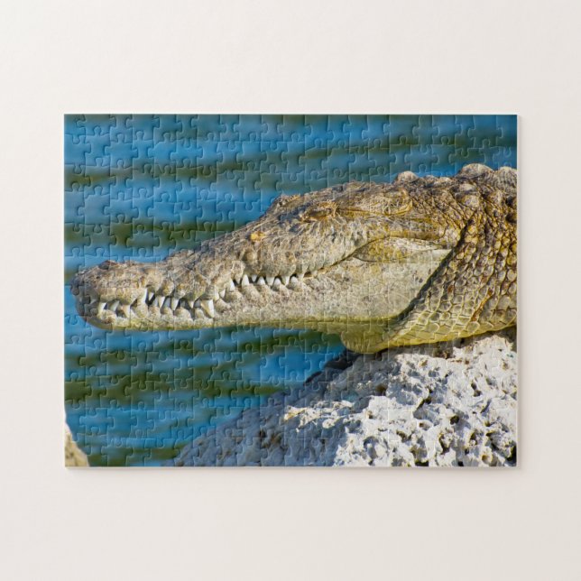 We Love Gators in Florida Jigsaw Puzzle (Horizontal)
