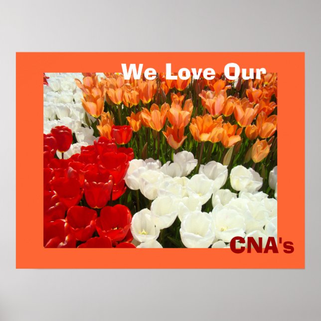We Love Our CNA's posters Orange Tulip Flowers (Front)