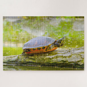 We Love Rotbauch Eared Water Turtles Jigsaw Puzzle