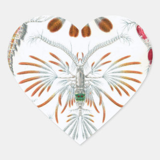 We love Scientific Illustrations stickers