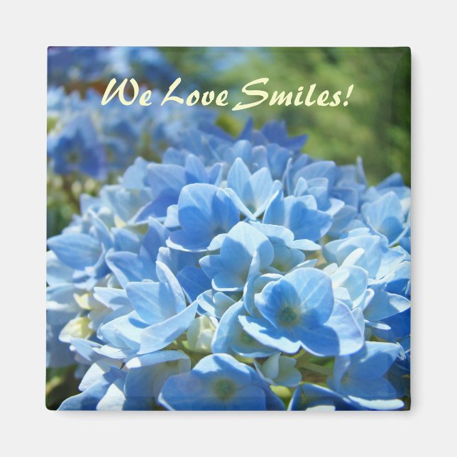 We Love Smiles! magnets Blue Hydrangea Flowers (Front)