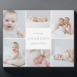 We Love You Grandma Photo Collage Plaque<br><div class="desc">A beautiful way to show Grandma your love. This custom plaque features a collage of images and space to include a personalised message and names.   
 For more advanced customisation of this design,  simply select the "Customise It" button above!</div>