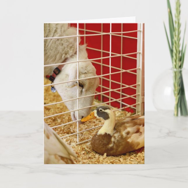 We make an odd pair... holiday card (Front)