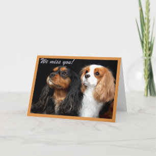 We miss you Cavalier King Charles Spaniel Card