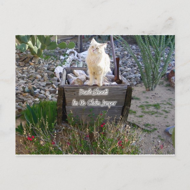 We Miss You Wyatt Postcard (Front)