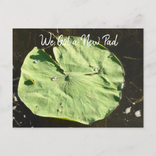 We Moved   New Home   New Address Postcard