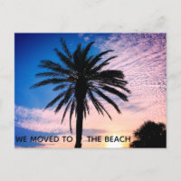 We Moved To The Beach Palm Tree Photo Home Moving