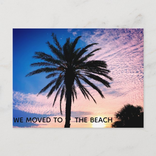We Moved To The Beach Palm Tree Photo Home Moving Postcard (Front)