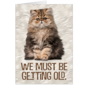 “We Must Be Getting Old” Cat-Lover’s Birthday