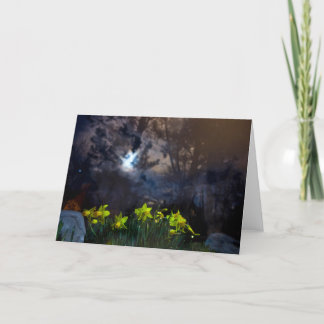 we own the night card